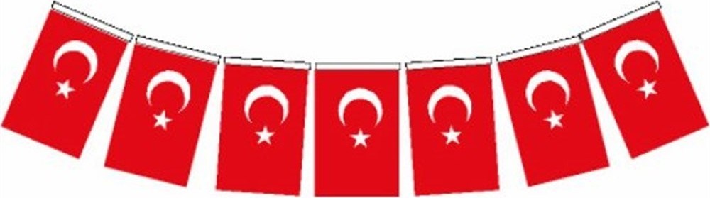 Orta Boy İpli Kağıt Türk Bayrağı 40LI 8x13cm